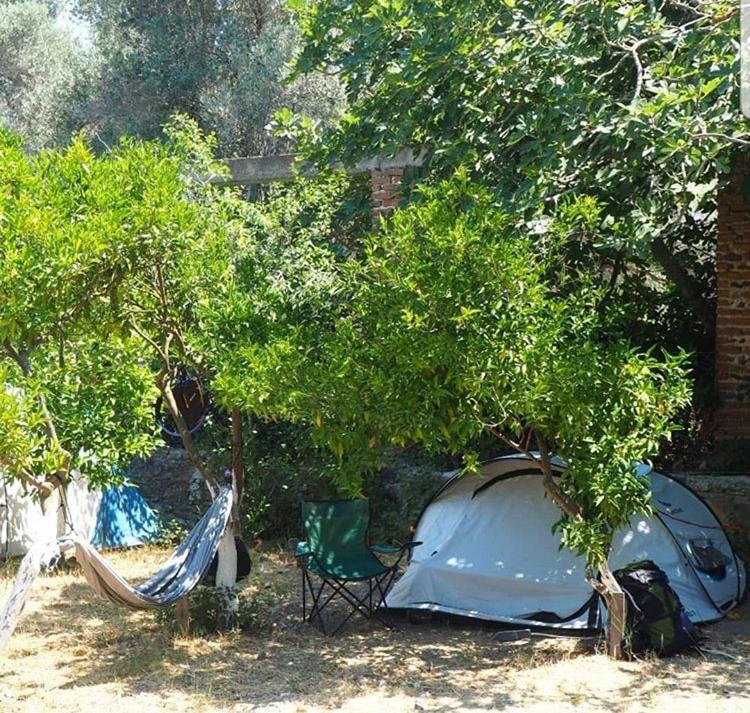 Bodrum Masali Camping Gümüşlük Exteriör bild