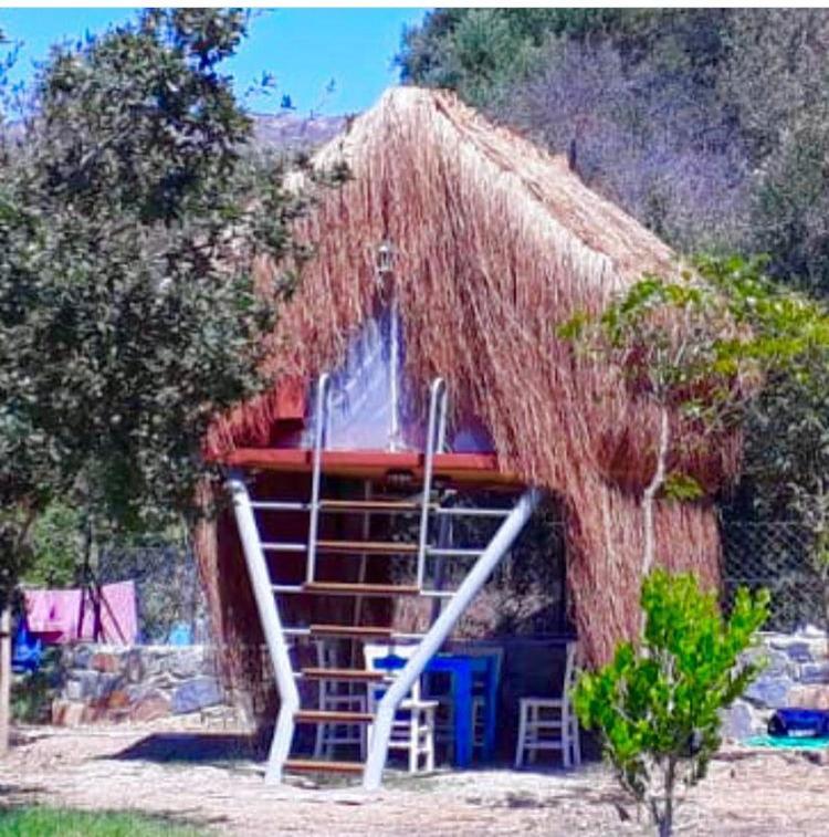 Bodrum Masali Camping Gümüşlük Exteriör bild