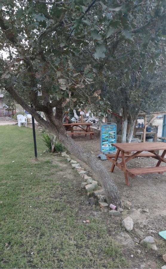 Bodrum Masali Camping Gümüşlük Exteriör bild