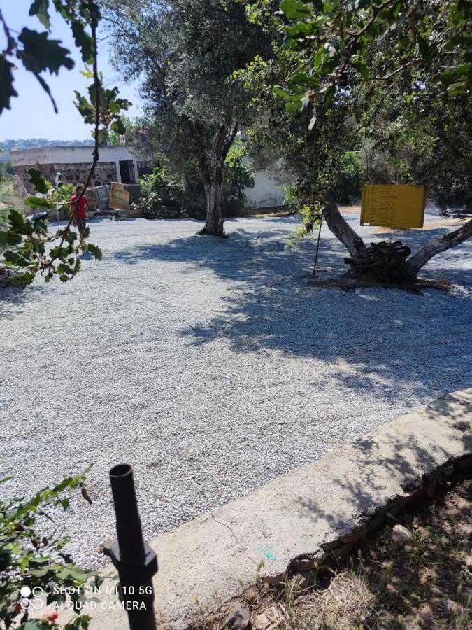 Bodrum Masali Camping Gümüşlük Exteriör bild