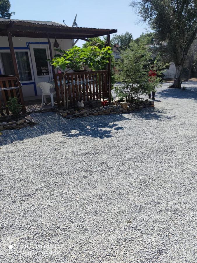 Bodrum Masali Camping Gümüşlük Exteriör bild