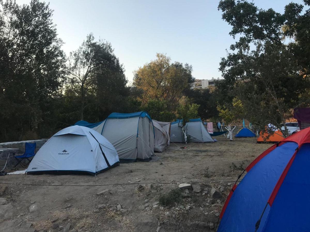 Bodrum Masali Camping Gümüşlük Exteriör bild