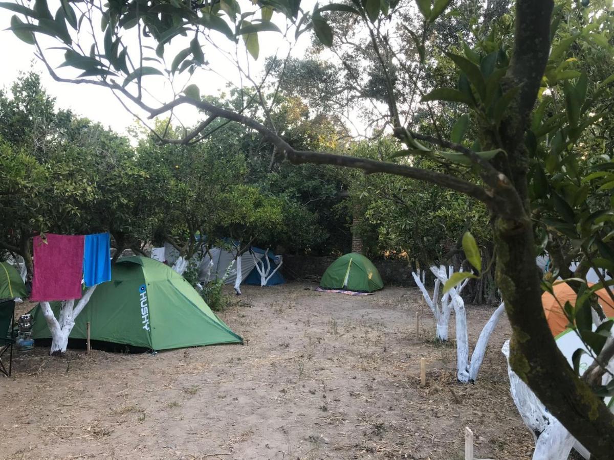 Bodrum Masali Camping Gümüşlük Exteriör bild