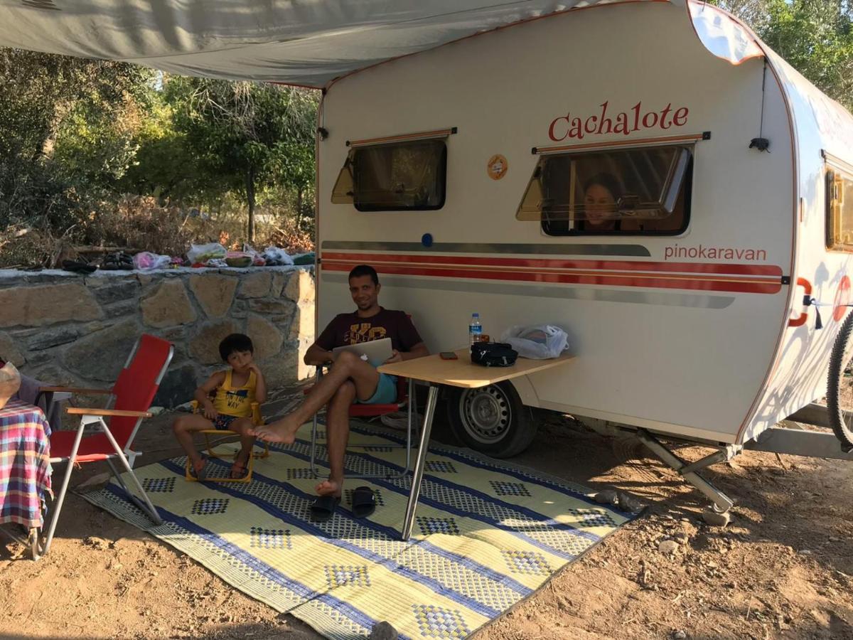 Bodrum Masali Camping Gümüşlük Exteriör bild