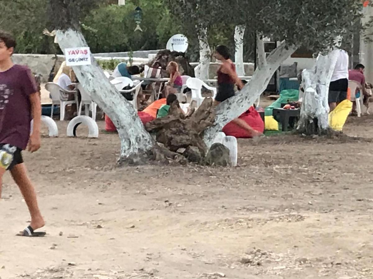 Bodrum Masali Camping Gümüşlük Exteriör bild